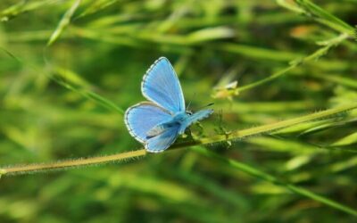 Kein Ego – keine schlechte Laune