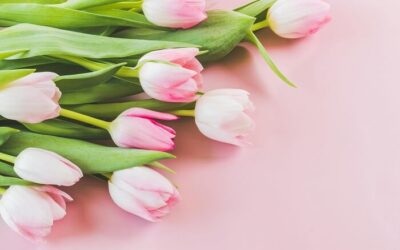 Energie der Gedanken: So erschaffst Du deine Realität