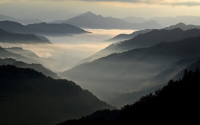 Der Tod ist nur der Höhepunkt eines Lebensabschnitts