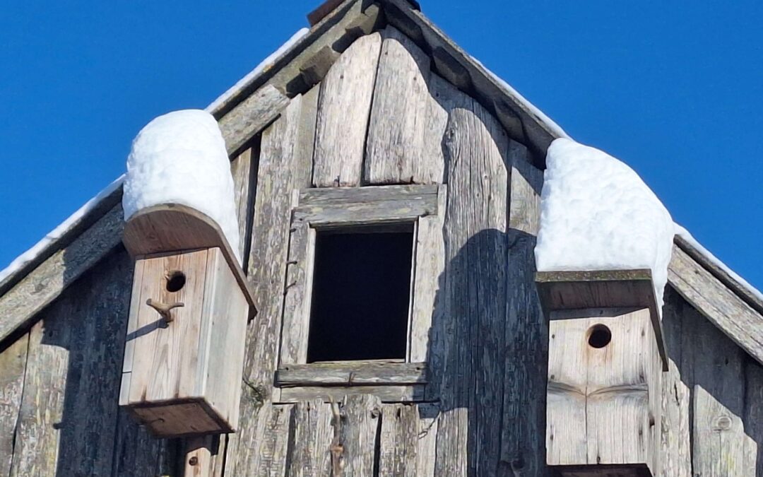 Warum brauchen wir viele Reinkarnationen